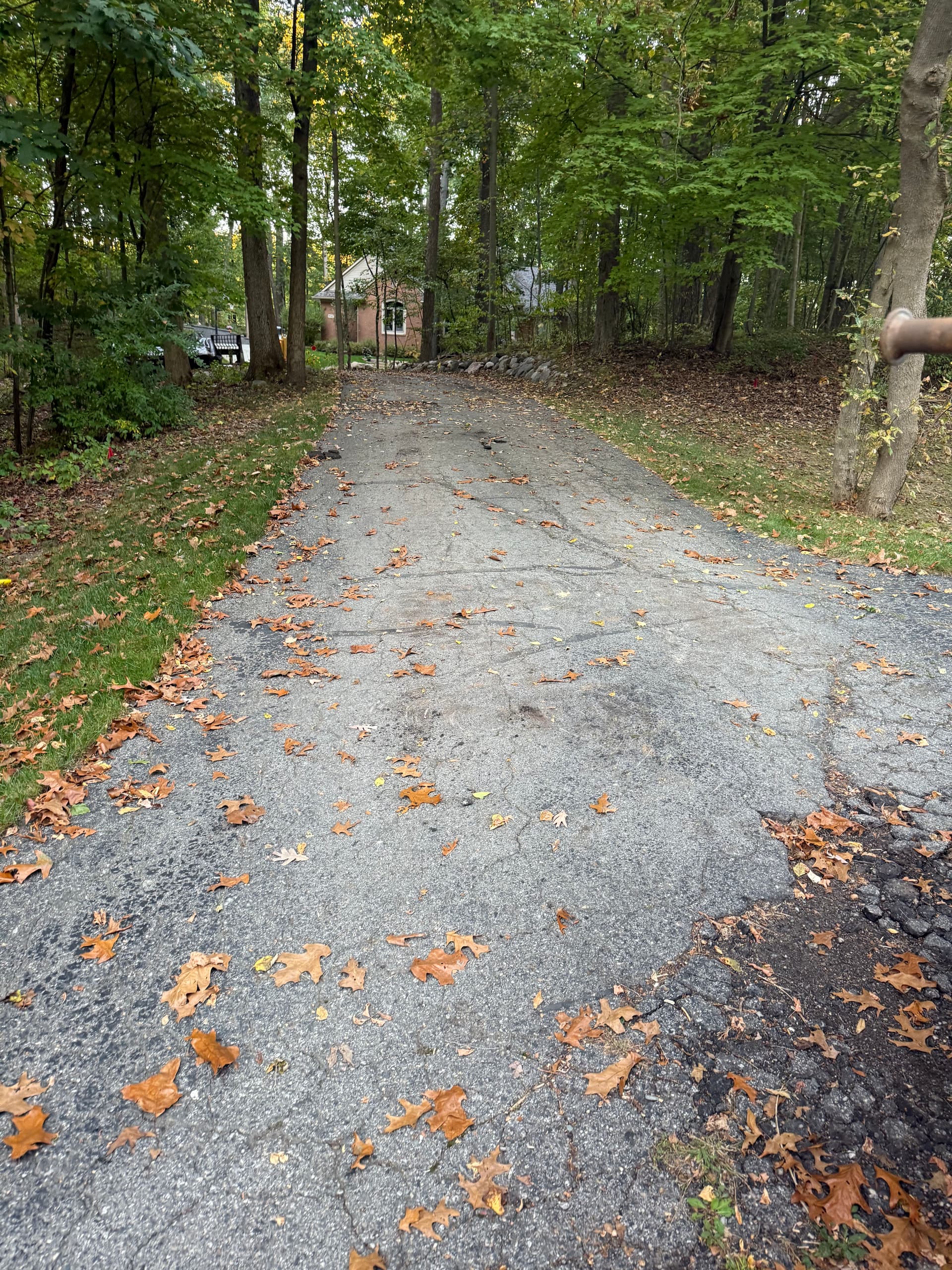Smooth New Concrete Driveway Installed in Scenic Woodland