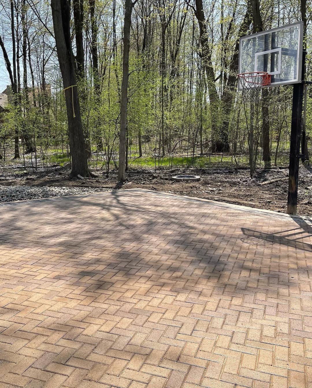 Outdoor basketball court with a hoop surrounded by trees and greenery.