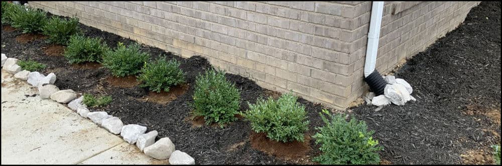 Landscaped garden bed with boxwoods and decorative rocks next to a brick wall.