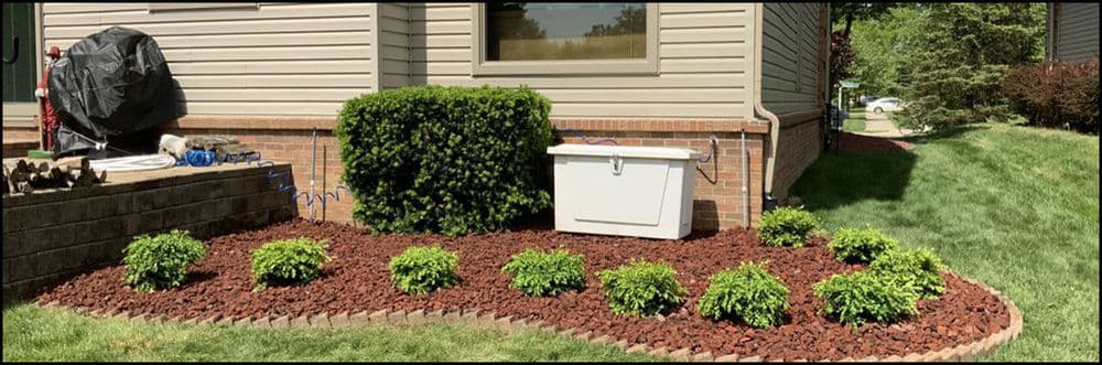 Landscaped garden with shrubs, mulch, and a utility box beside a home exterior.