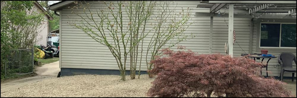 Landscaped yard featuring a house, gravel patio, small tree, and nearby greenery.