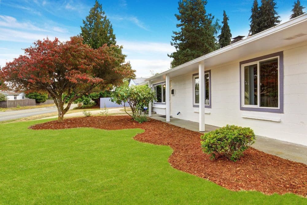 Charming home exterior with lush green lawn, colorful shrubs, and fresh mulch landscaping.
